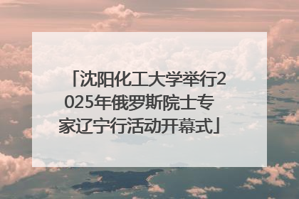 沈阳化工大学举行2025年俄罗斯院士专家辽宁行活动开幕式
